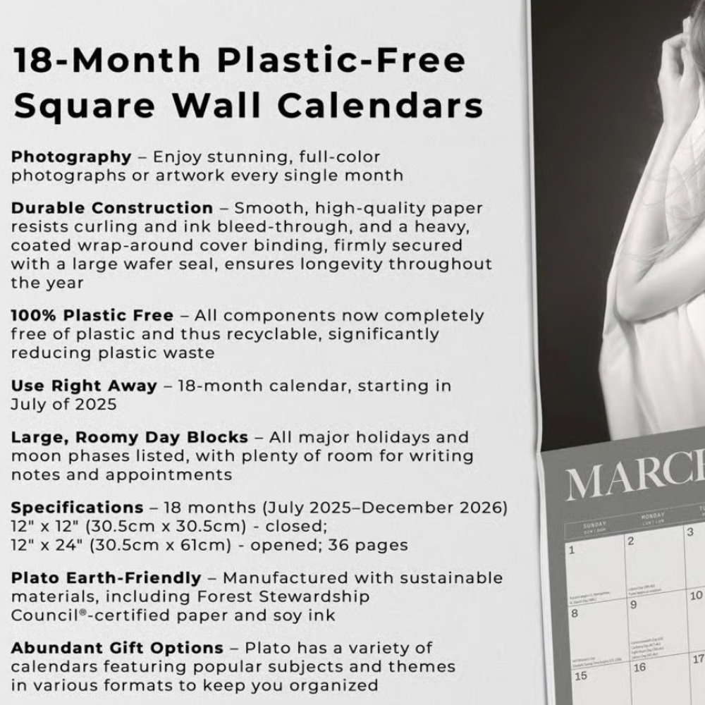 Taylor Swift 2026 Calender - Picture 15 of 16